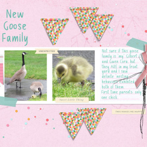 New-Goose-Family