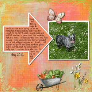 2022-05-TLP-Journal-Challenge