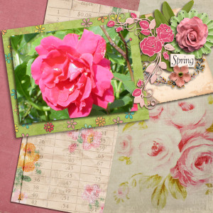 9905_rose_random