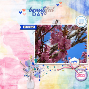 2022-05-TLP-Inspiration-Challenge