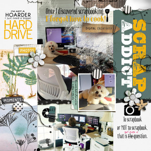 SS_may7_RJ_LM_Scrap Addict