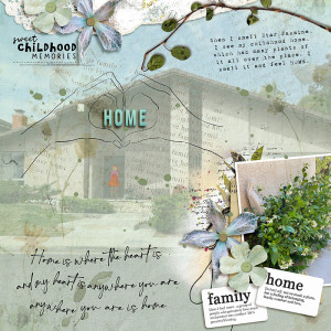 Star Jasmine is Home