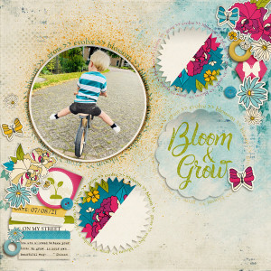 Bloom & Grow
