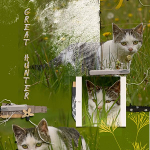 A great Hunter