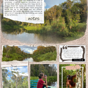 Borneo