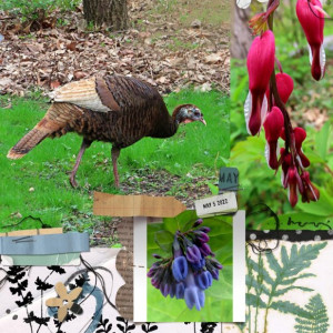 Marilyn_Rachel-Jefferies_2022-05_May_iNSD_0507_Pocket-Art-Assembles1_web