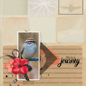 NBK-Design_2022-05_May_iNSD_0507_2022-Templates_May-18_web