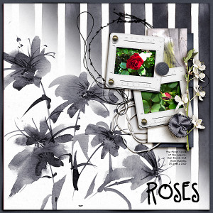 Roses