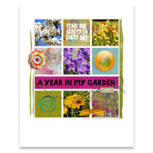 Garden journal 1