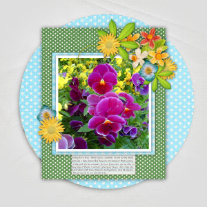 Pansies