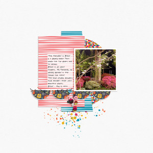 22-05_SwL_MIS