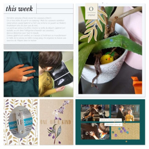 Project life - April