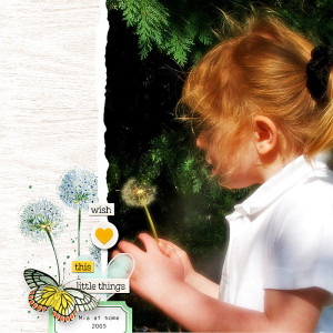Dandelion Days