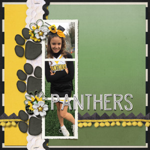 Panthers