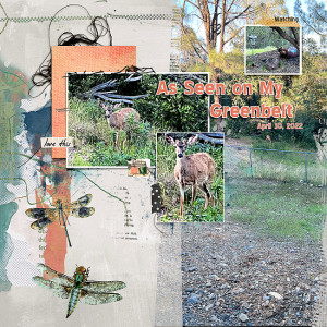 2022-iNSD-Slow-Scrap-5s-Deer-on-Greenbelt-v2