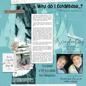 2022-iNSD-challenge-Why-do-I-scrap