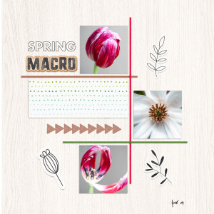 2022-4-24-spring-flowers-_600web
