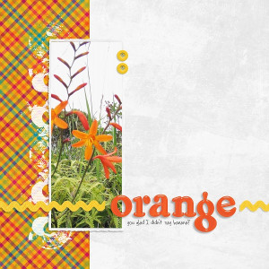 Orange You Glad