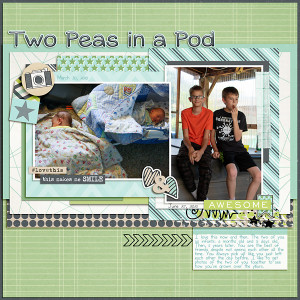 2021 Peas in Pod