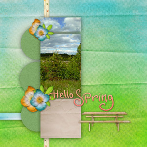 Forest - Spring