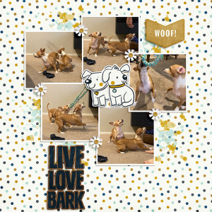 The Bark Game