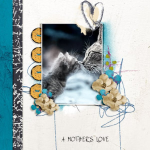 A Mother's Love