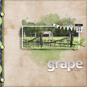 Grape Vines