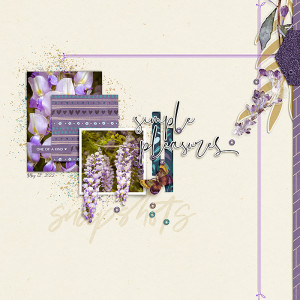 Wisteria's season