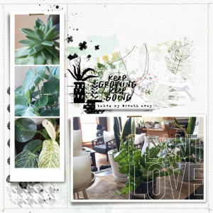 Plant Love - SOSN 05/19