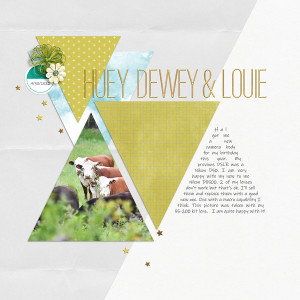 Huey Dewey & Louie