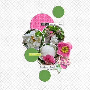 Trader Joe's Peonies