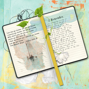 Storyteller Slow Scrap_Iremember