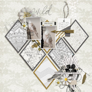 Blog-mashup-B&W-grey streak