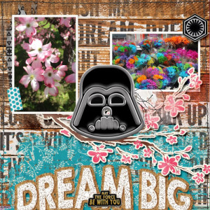 Dream Big