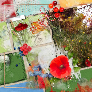 Poppies