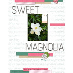 Sweet magnolia