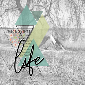 Designed_by_Soco_Milestones