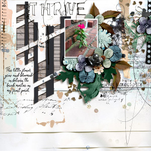 SOSN_jun1_RJ_JJD_Thrive
