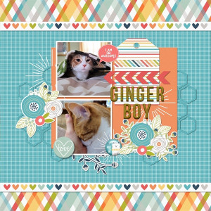 Ginger Boy