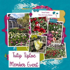 Tulip Tiptoe Member Event