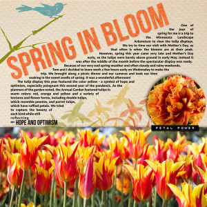Spring-in-Bloom