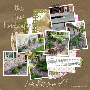 Our New Landscaping