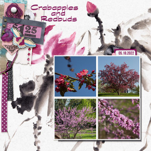 Crabapples-and-Redbuds