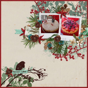 Christmas Cakes