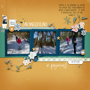Snowshoeing 2022