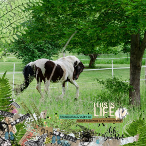 Scraplift challenge May 22