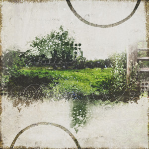 AM_June_1