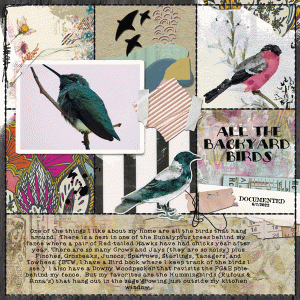 Journaling_backyardbirds