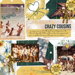 Cousins 1978