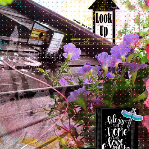 NBK-Design_2022-06_June_New_CU_0610_various_web